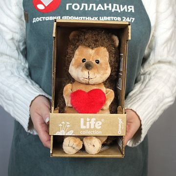Ёжик с сердцем