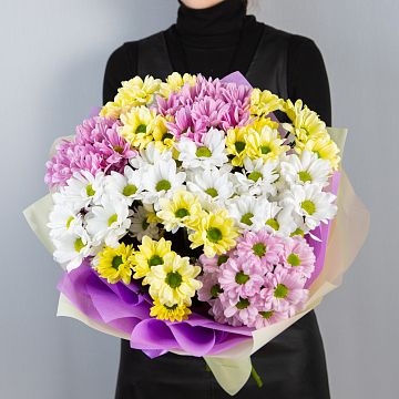 Букет Лучики солнца 9 ромашковых хризантем микс