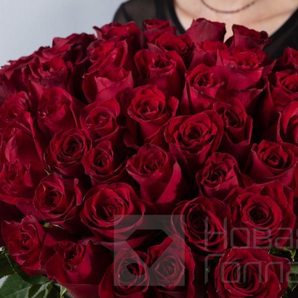 Букет 51 красная роза Премиум Эквадор 50 см
