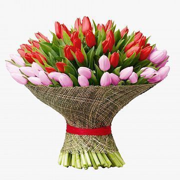Букет Долина тюльпанов 101 красно-розовый тюльпан