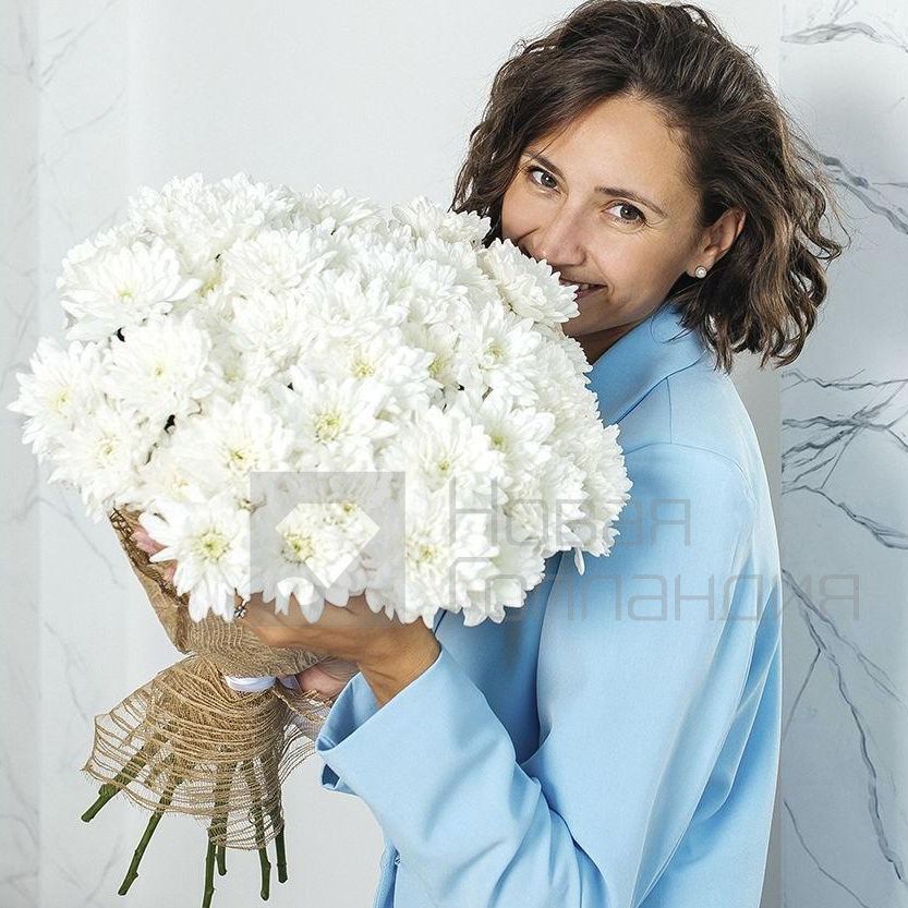 Букет Нежные облака 11 белых хризантем - доставка букета цветов в  Санкт-Петербурге. Стойкие Хризантемы от производителя.