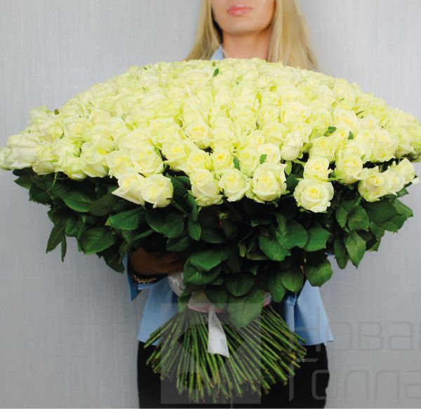 Букет 301 белая роза 60 см