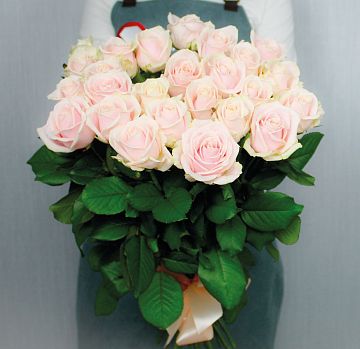 Букет 25 нюдовых роз 60 см