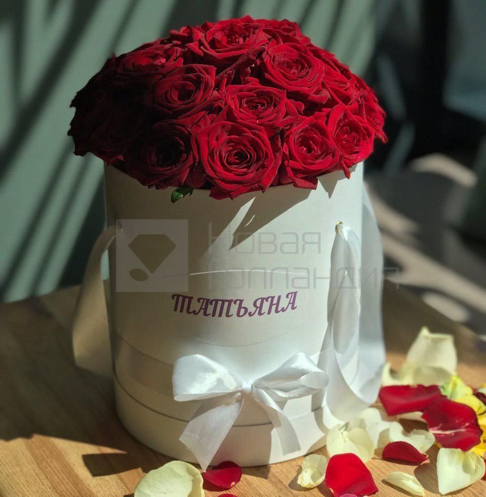 25 красных роз в шляпной коробке с именем №559