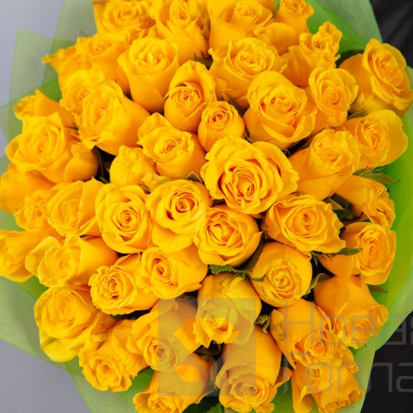 Букет 51 желтая роза Кения 40 см в упаковке