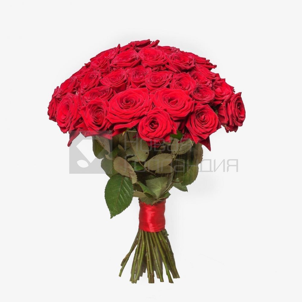Букет 51 красная роза 35 см