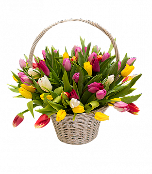 35 тюльпанов в корзине 35 тюльпанов в корзине