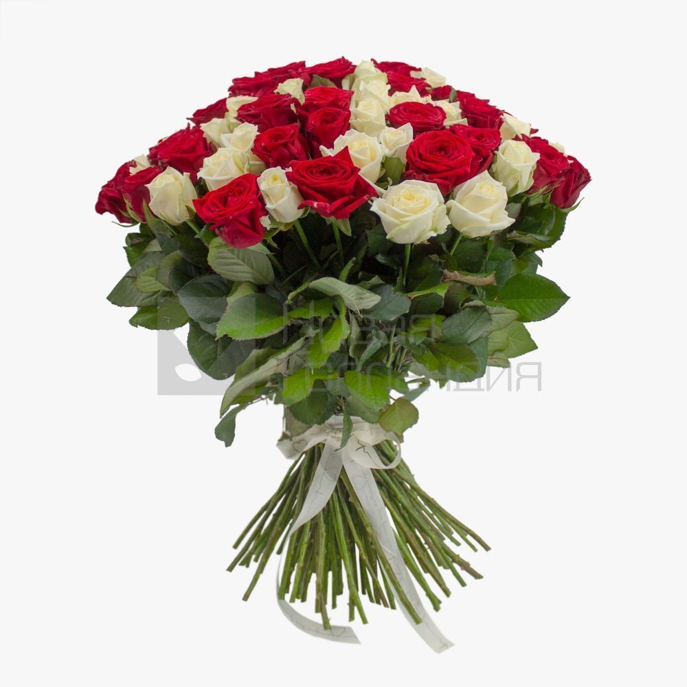 Букет из 101 красно-белой розы 50 см