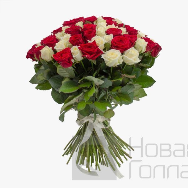 Букет из 101 красно-белой розы 50 см