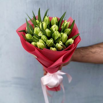 Букет 25 белых пионовидных тюльпанов