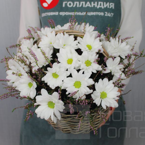 Хризантемы в корзине Домашний очаг
