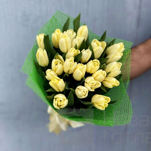 Букет 25 кремовых тюльпанов