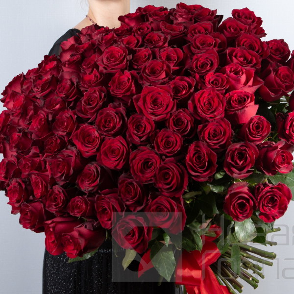Букет Императрицы 101 красная роза 60 см