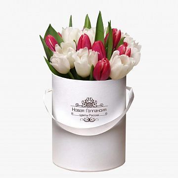 25 красно-белых тюльпанов в белой маленькой шляпной коробке №415