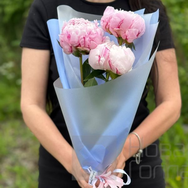 Букет 3 нежно-розовых пиона