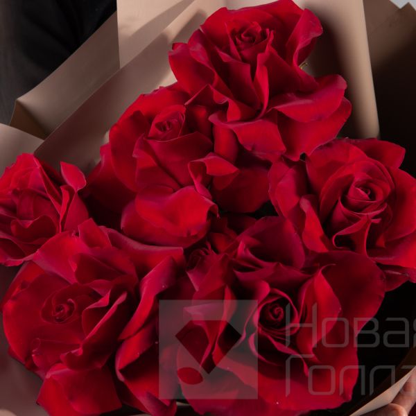 Букет 7 красных французских роз Пантера