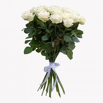 Букет 25 белых роз 70см