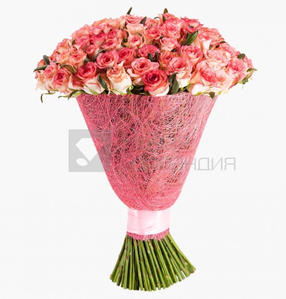 101 розовая роза 60 см